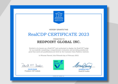 CDP Institute Report: RealCDP Audit 2023