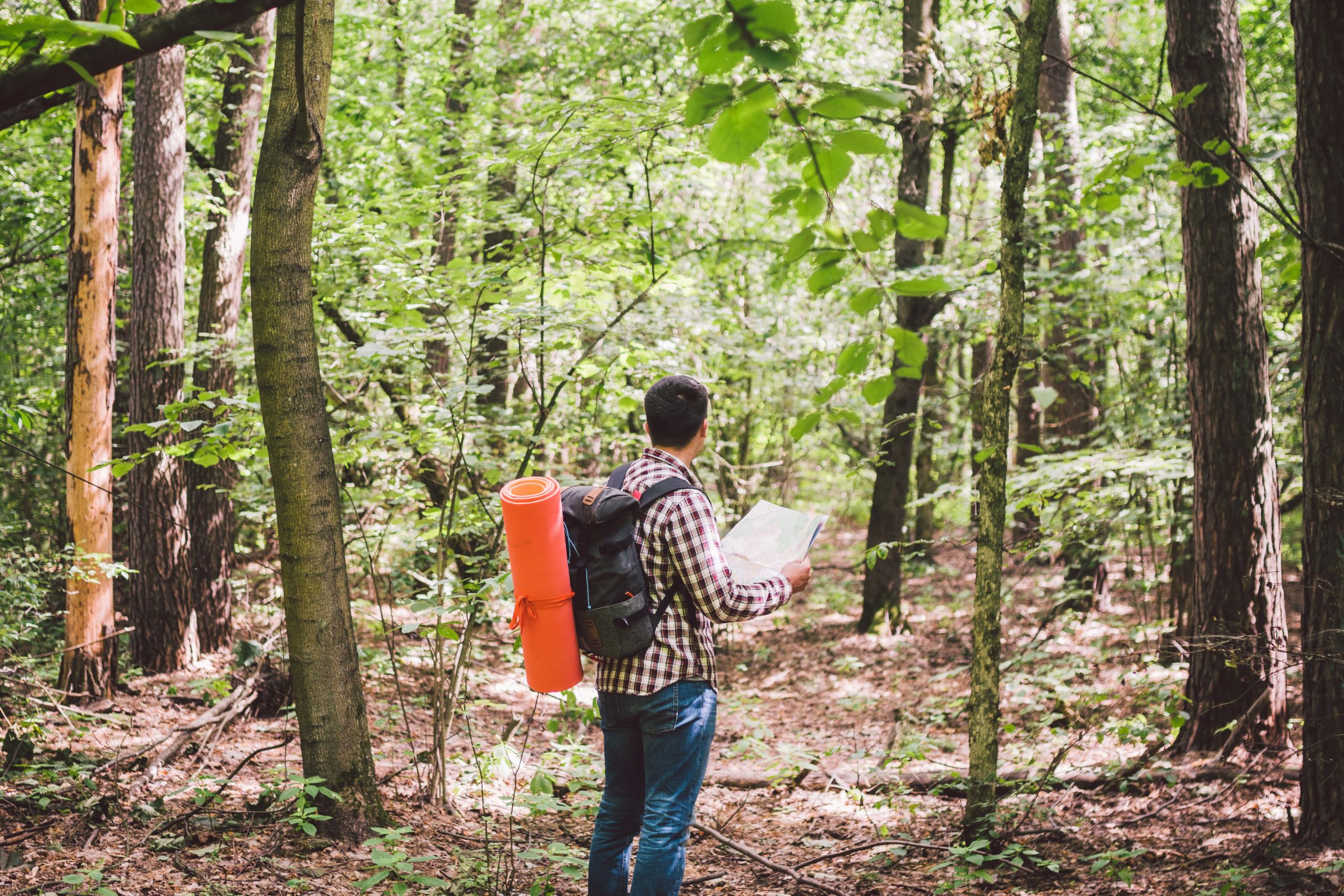 man-searching-map-for-directions-in-wilderness-area-scaled