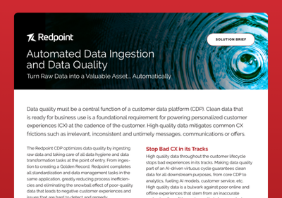 Automated Data Ingestion and Data Quality